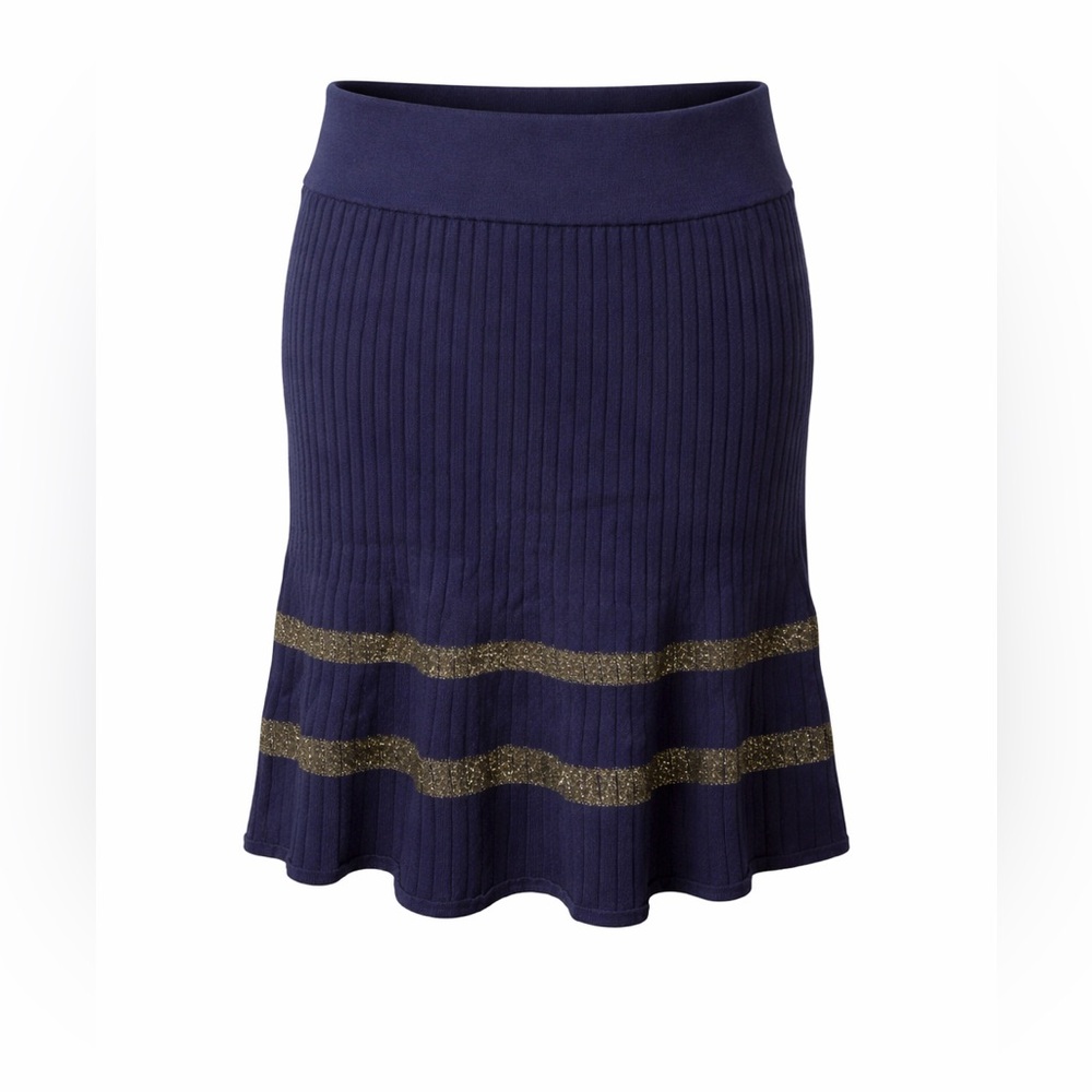 Ann Taylor Navy Knit‎ Skirt Gold Stripe Preppy Academia Quiet Luxury-Petite S